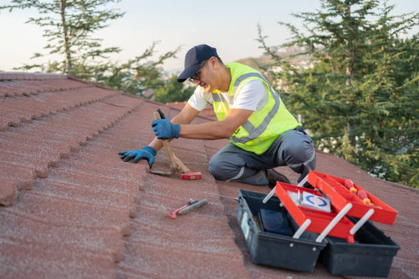 Best Roof Leak Repair  in Grosse Pointe, MI